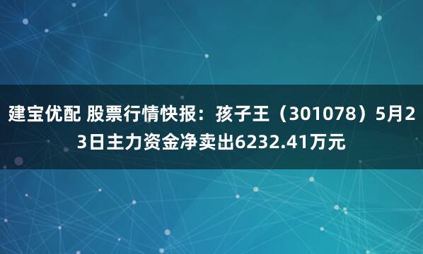 建宝优配 股票行情快报：孩子王（301078）5月23日主力资金净卖出6232.41万元