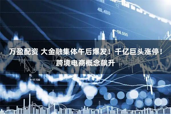 万盈配资 大金融集体午后爆发！千亿巨头涨停！跨境电商概念飙升