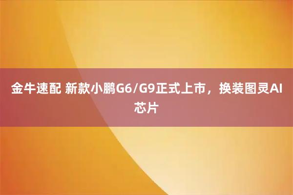 金牛速配 新款小鹏G6/G9正式上市，换装图灵AI芯片