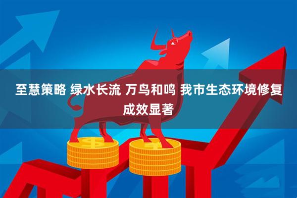 至慧策略 绿水长流 万鸟和鸣 我市生态环境修复成效显著