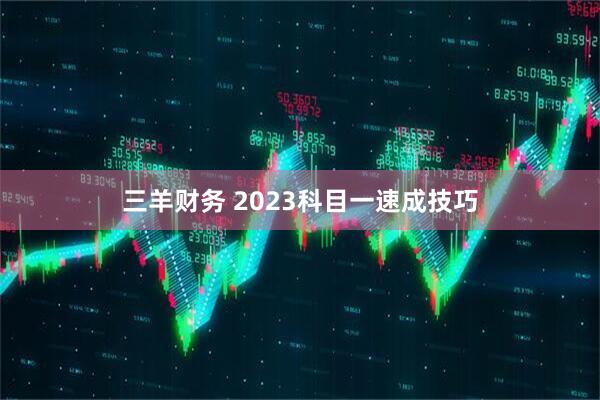 三羊财务 2023科目一速成技巧